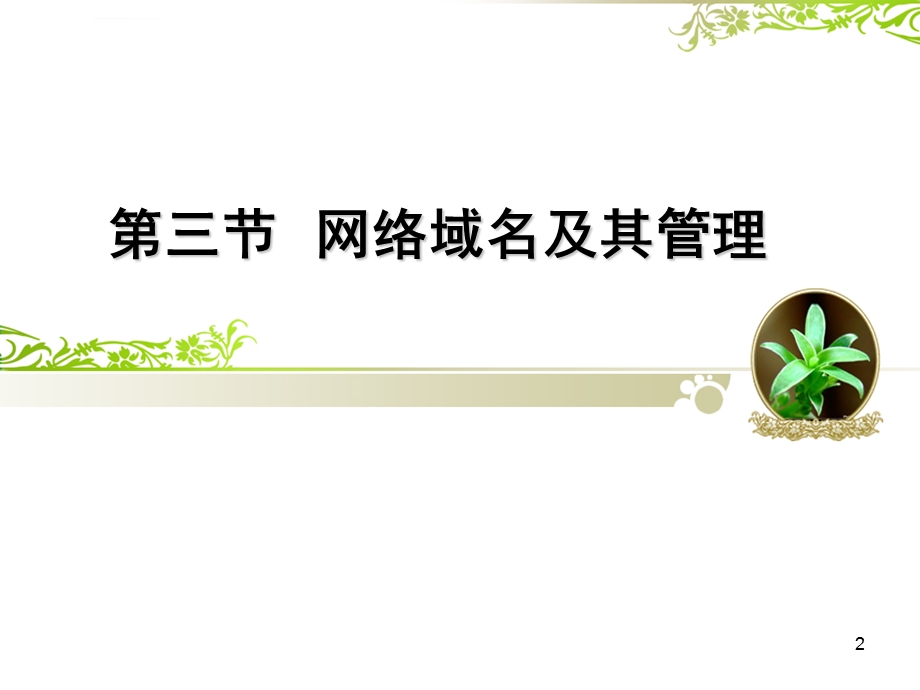 网络域名及域名解析ppt课件.ppt_第2页