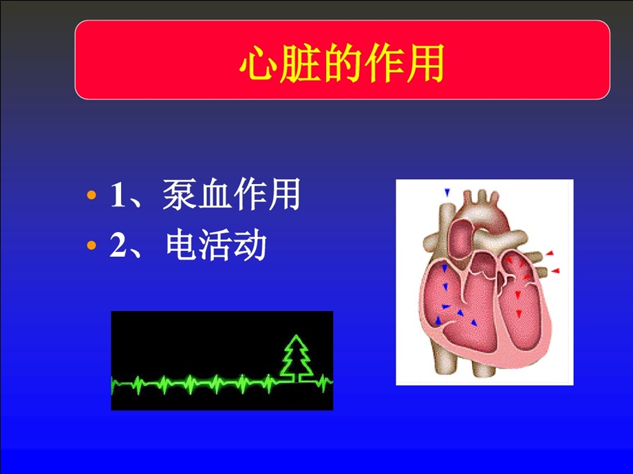 简单易懂心电图ppt课件.ppt_第2页