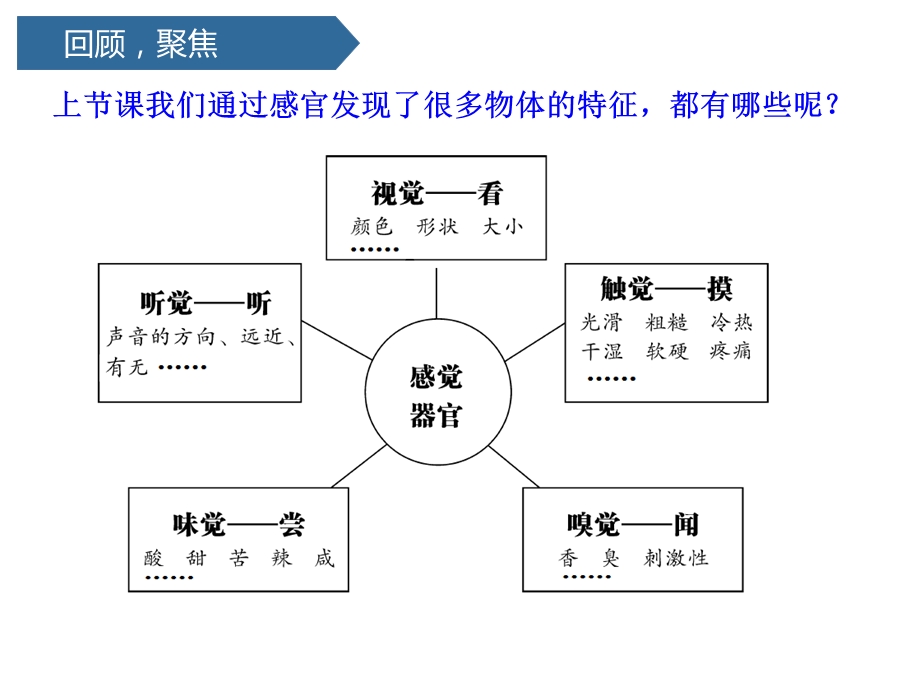 科教版科学二年级下册2 3观察与比较PPT课件.pptx_第3页