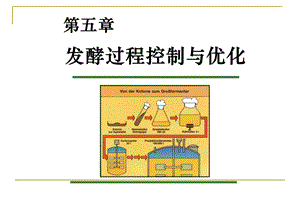 第五章发酵过程控制与优化ppt课件.ppt