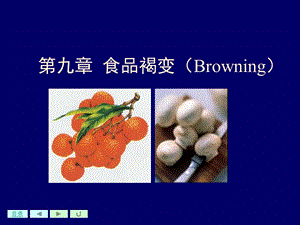 第九章食品褐变ppt课件.ppt