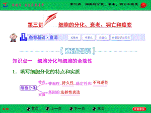 第三讲细胞的分化、衰老、凋亡和癌变ppt课件.ppt