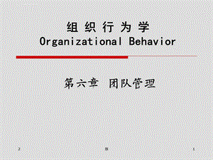 组织行为学第六章 团队管理(课堂ppt)课件.ppt