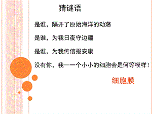 细胞膜—系统的边界ppt课件.ppt