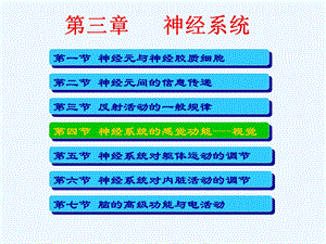 神经系统的感觉功能与视觉ppt课件.ppt