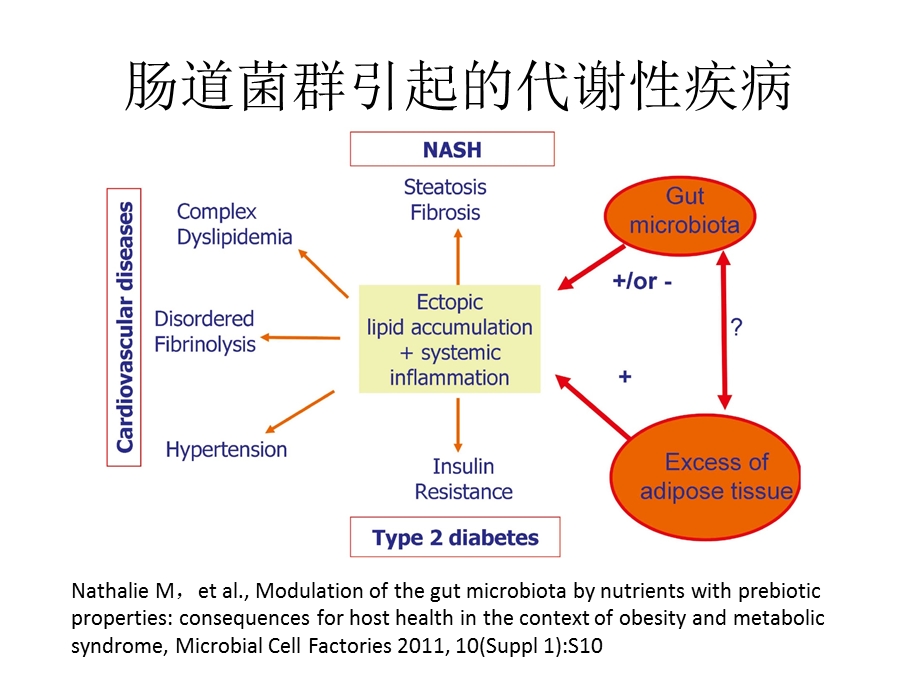 益生菌素材ppt课件.ppt_第2页