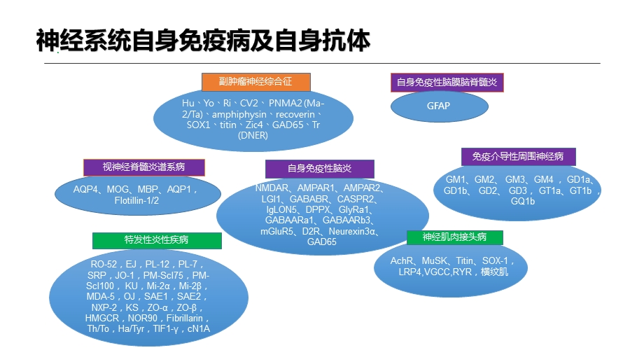 神经免疫疾病相关抗体介绍ppt课件.pptx_第3页