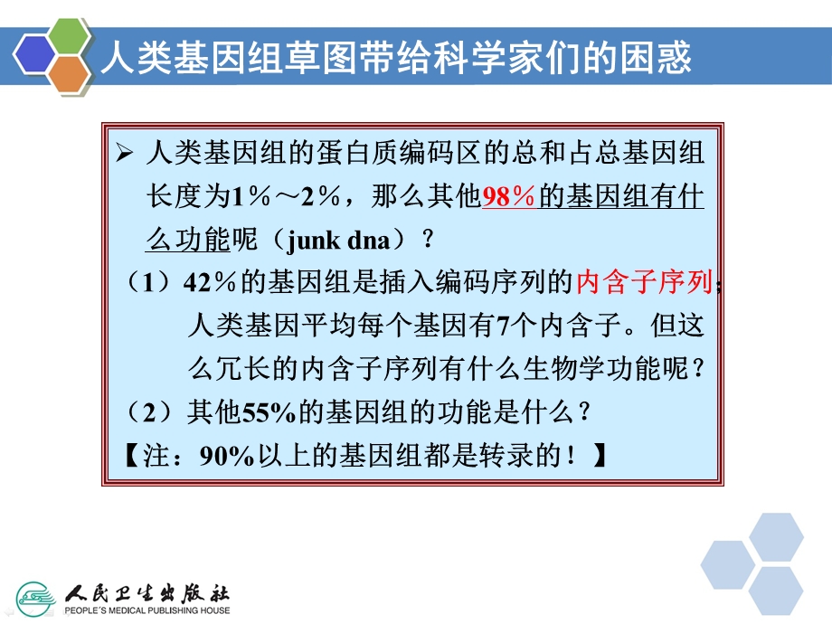 第十二章非编码RNA与复杂疾病ppt课件.ppt_第2页