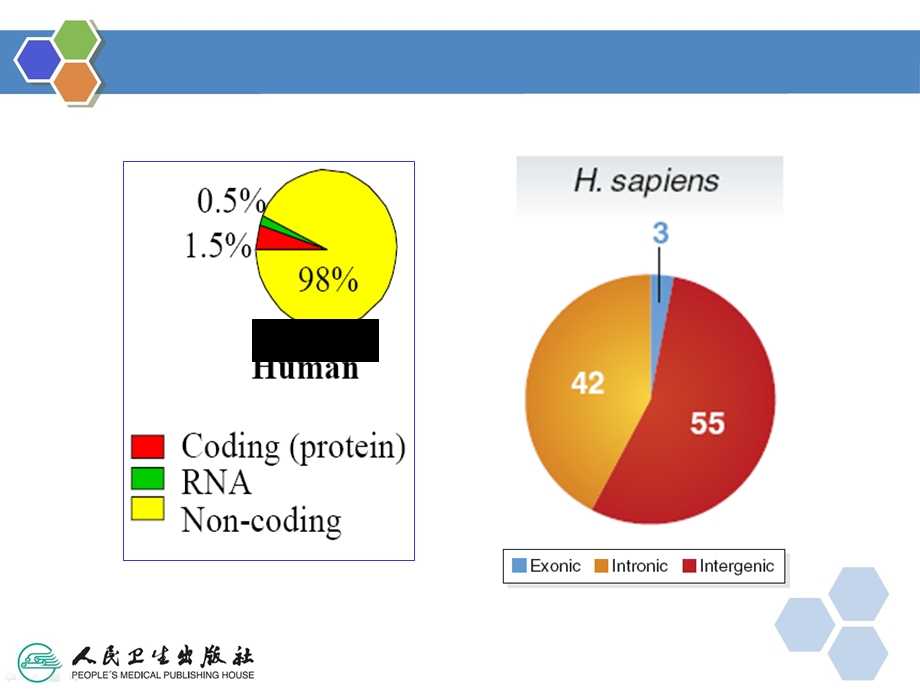 第十二章非编码RNA与复杂疾病ppt课件.ppt_第3页