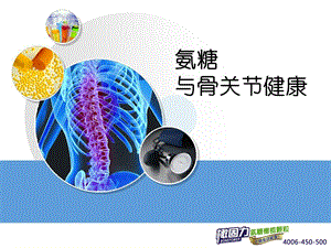 氨糖与关节健康ppt课件.ppt