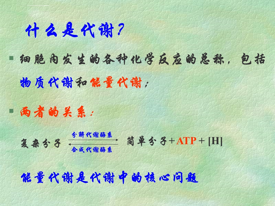 第5章微生物的代谢讲解ppt课件.ppt_第2页