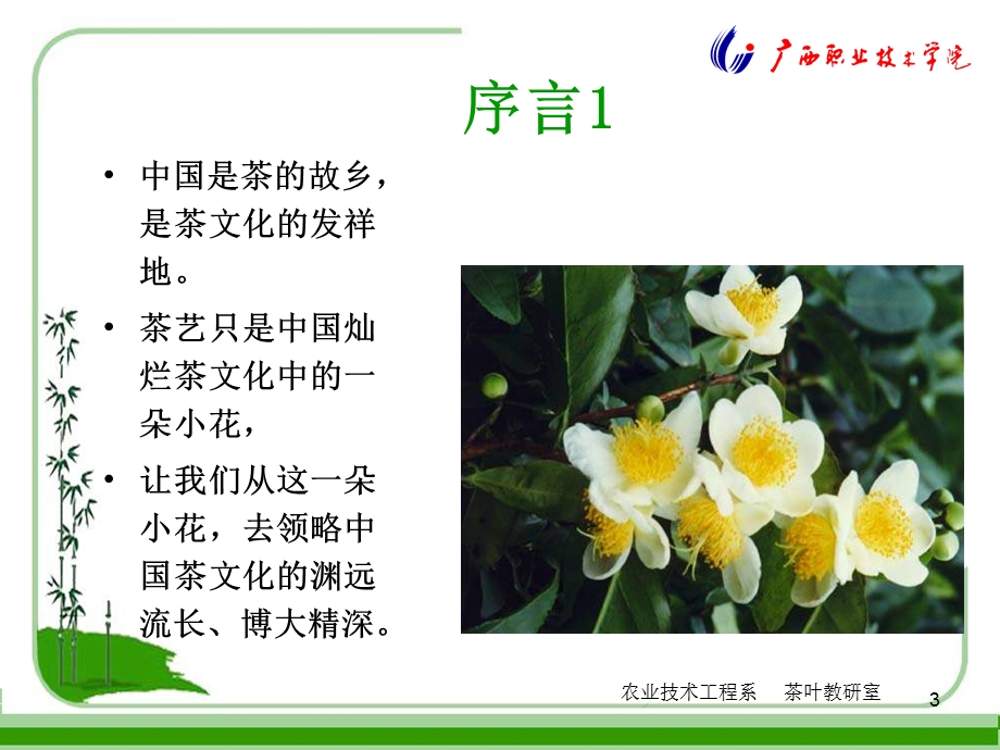 绿茶茶艺与解说ppt课件.ppt_第3页