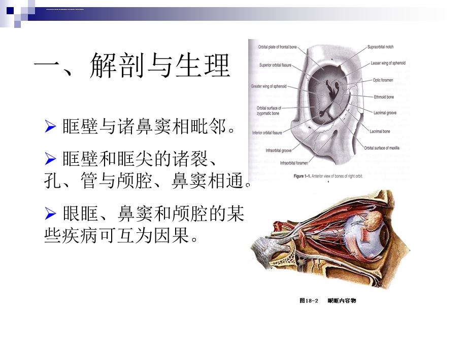 第十五章眼眶病ppt课件.ppt_第2页