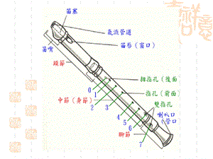 竖笛入门及基础教学ppt课件.ppt