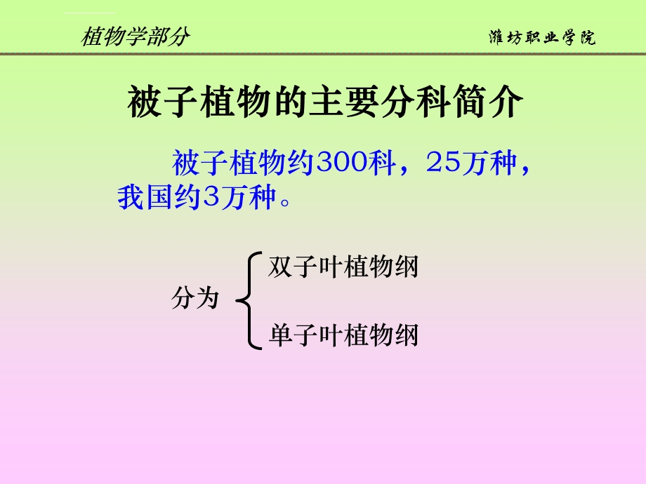 第六章被子植物的主要分科ppt课件.ppt_第2页