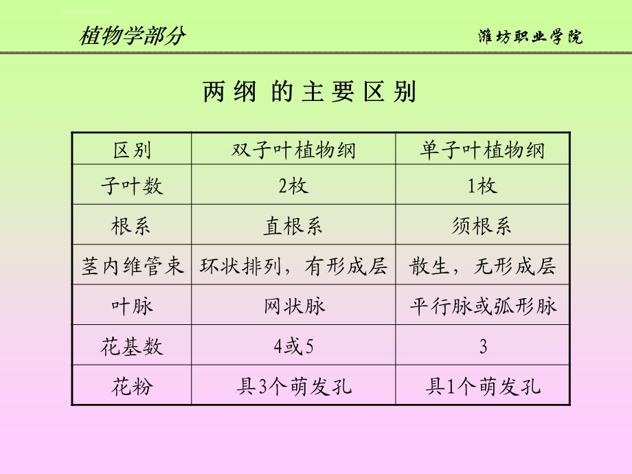 第六章被子植物的主要分科ppt课件.ppt_第3页