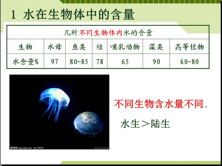 细胞中的无机物ppt课件.ppt_第2页