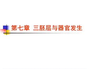 第7章三胚层与器官发生ppt课件.ppt