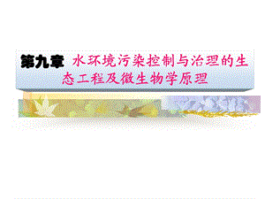 第九章水环境污染控制与治理的生态工程及微生物学原理ppt课件.ppt