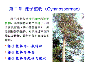 第二章裸子植物ppt课件.ppt