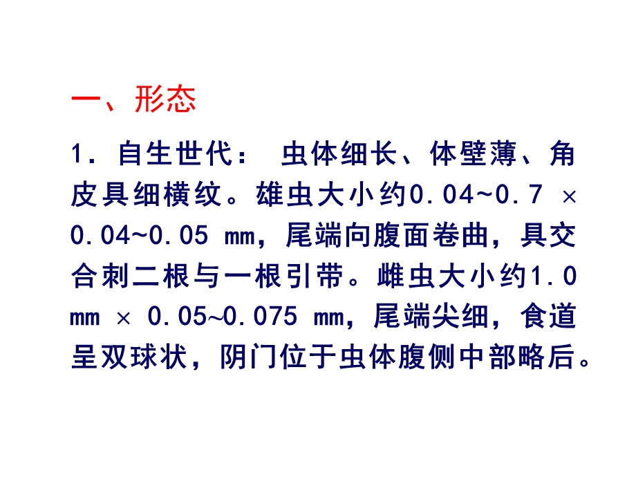 第五节粪类圆线虫ppt课件.ppt_第3页