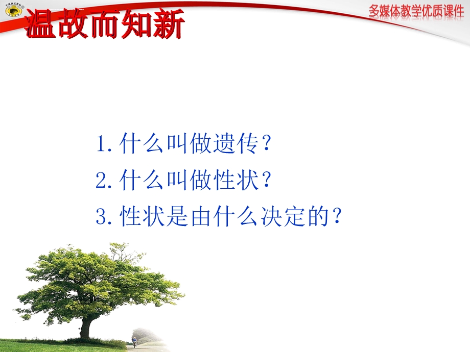 第二节基因在亲子代间的传递ppt课件.ppt_第1页