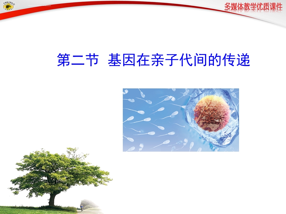 第二节基因在亲子代间的传递ppt课件.ppt_第2页