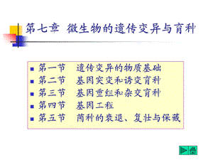 第七章微生物的遗传变异与育种ppt课件.ppt