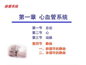 系统解剖学精品静脉ppt课件.ppt