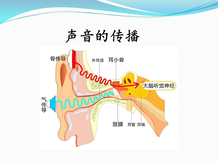 突发性耳聋的护理ppt课件.pptx_第3页