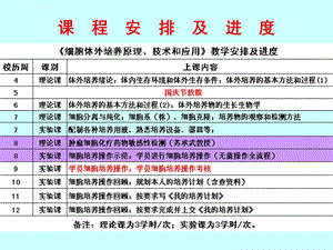 细胞培养培养物的观察和检测方法ppt课件.ppt