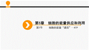 第二节细胞的能量通货——ATP(含完整图文动画 超实用公开课)ppt课件.ppt