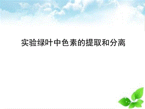 绿叶中色素的提取和分离ppt课件(自制).ppt