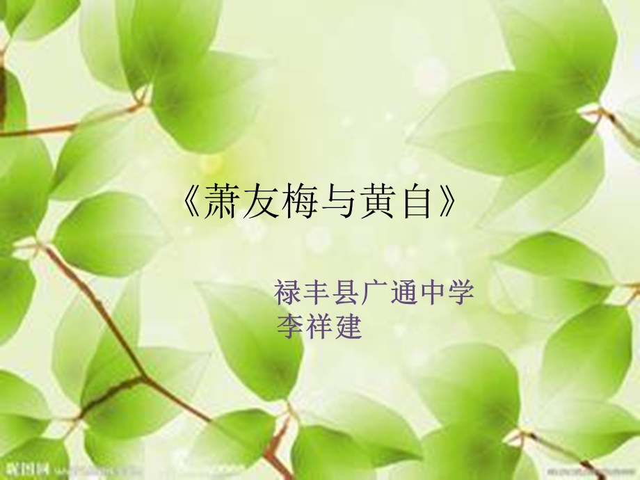 第二十七节萧友梅与黄自ppt课件.pptx_第1页