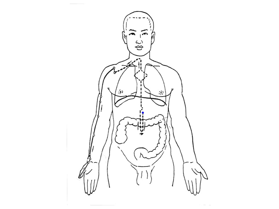 经络腧穴各论ppt课件.ppt_第3页