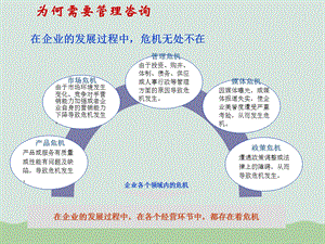 管理咨询概述ppt课件.ppt