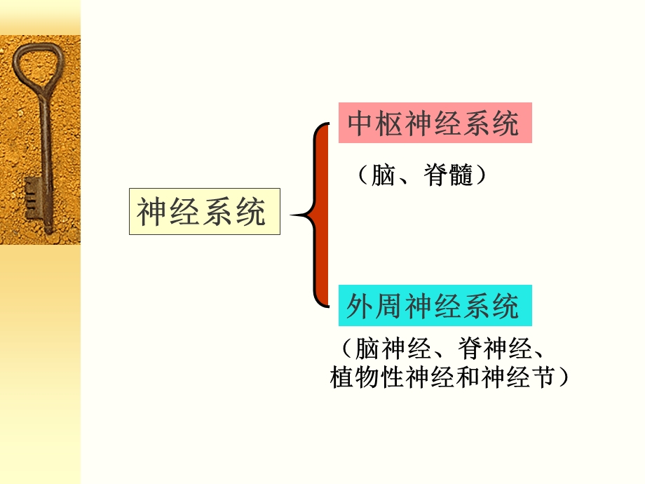 神经系统生化ppt课件.ppt_第3页