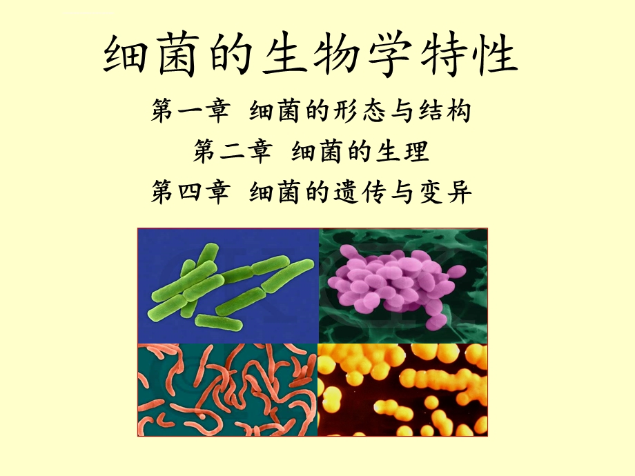 细菌的生物学特性ppt课件.ppt_第1页