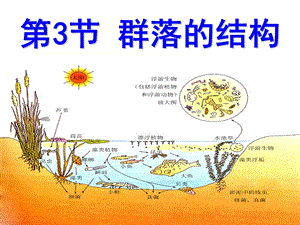 第三节群落的结构(公开课)ppt课件.ppt