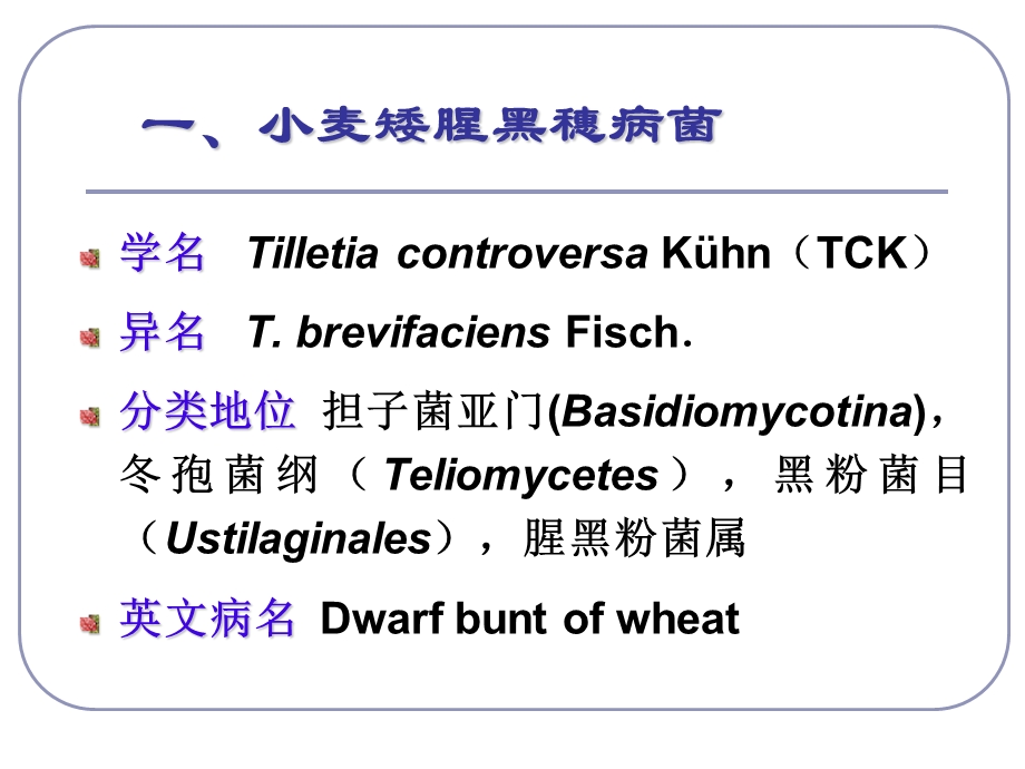 第六章植物检疫性病害及杂草ppt课件.ppt_第3页