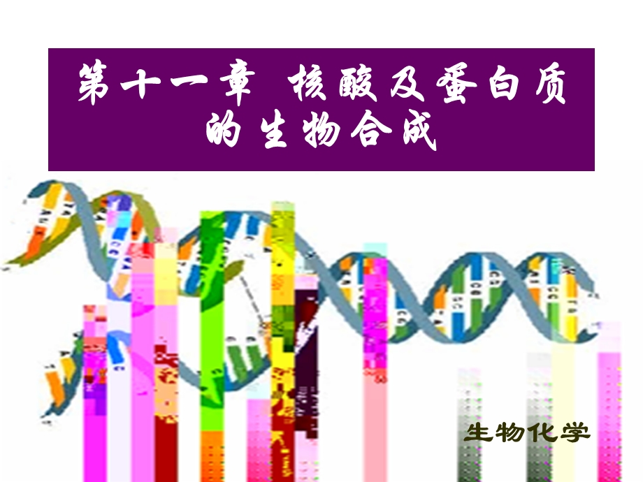 第十二一章核酸及蛋白质的生物合成ppt课件.ppt_第1页