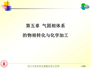 第五章气固相体系ppt课件.ppt