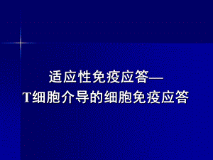 细胞免疫应答ppt课件.ppt