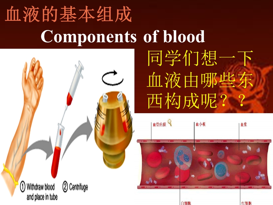 红细胞的渗透脆性ppt课件.ppt_第2页