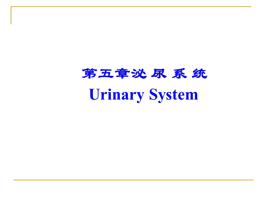 系统解剖学之泌尿系统ppt课件.ppt_第1页