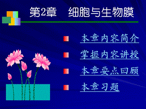 第2章细胞与生物膜ppt课件.ppt