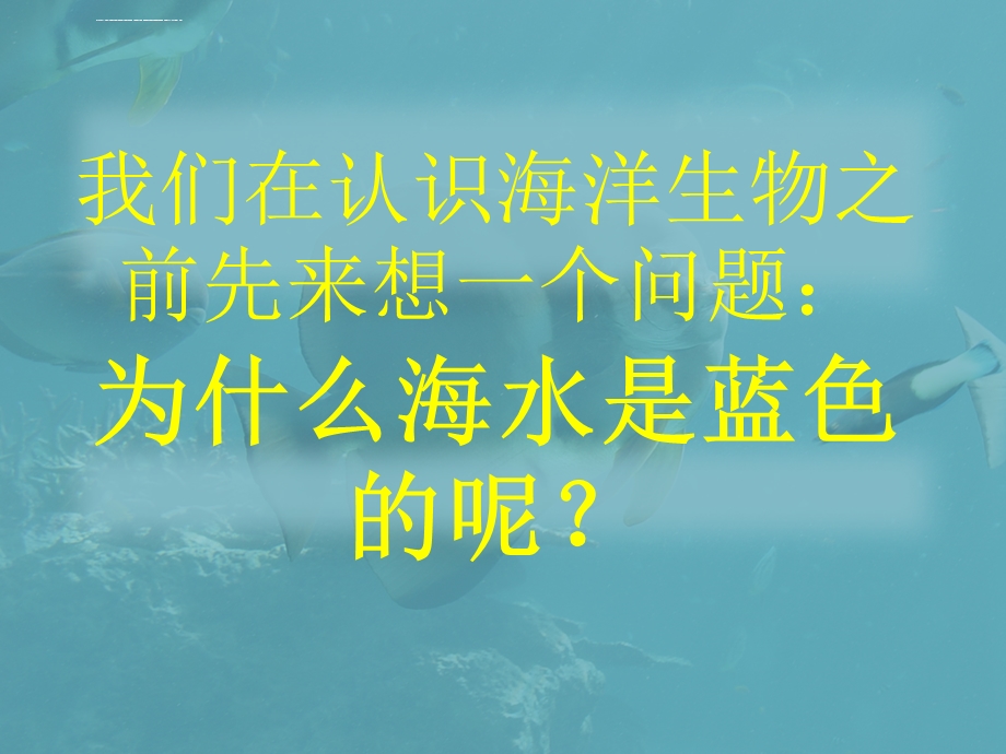 神奇的海底世界ppt课件.ppt_第3页