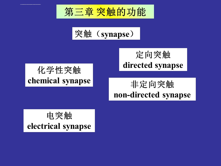 神经生物学3突触的功能讲解材料ppt课件.ppt_第1页