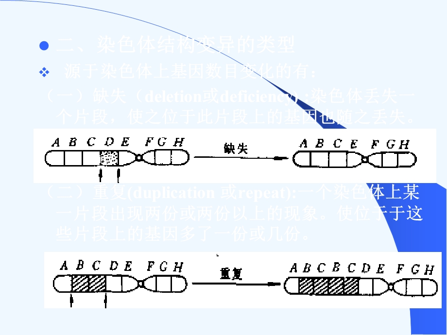 第十二章染色体畸变ppt课件.ppt_第3页