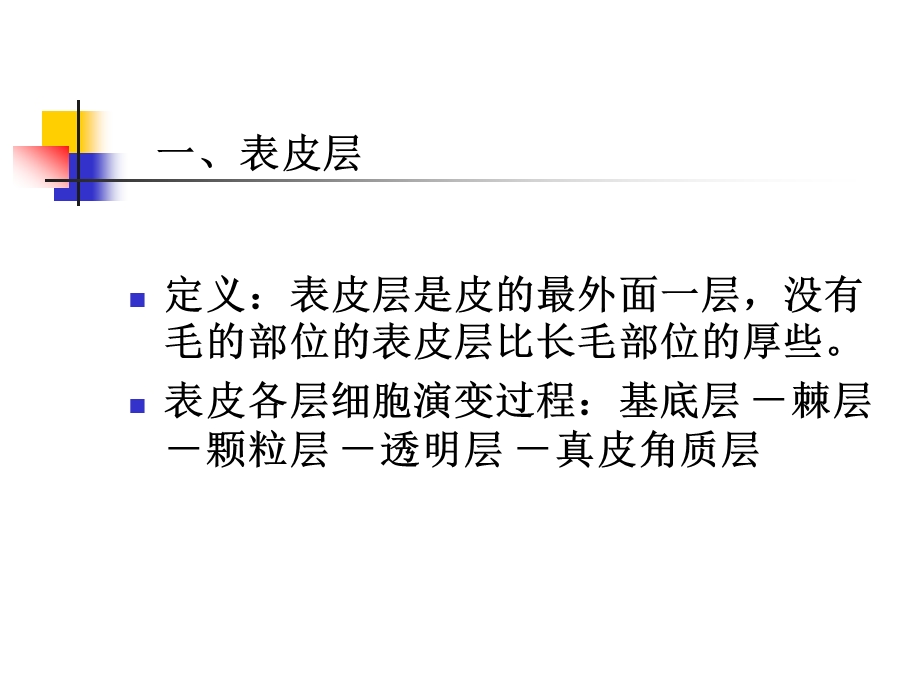 第二章生皮组织学ppt课件.ppt_第3页